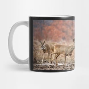 Roe deer family Mug